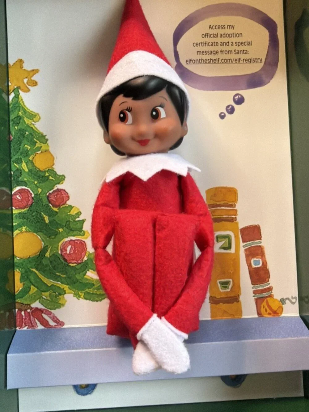 Elf on The Shelf A Christmas Tradition Set